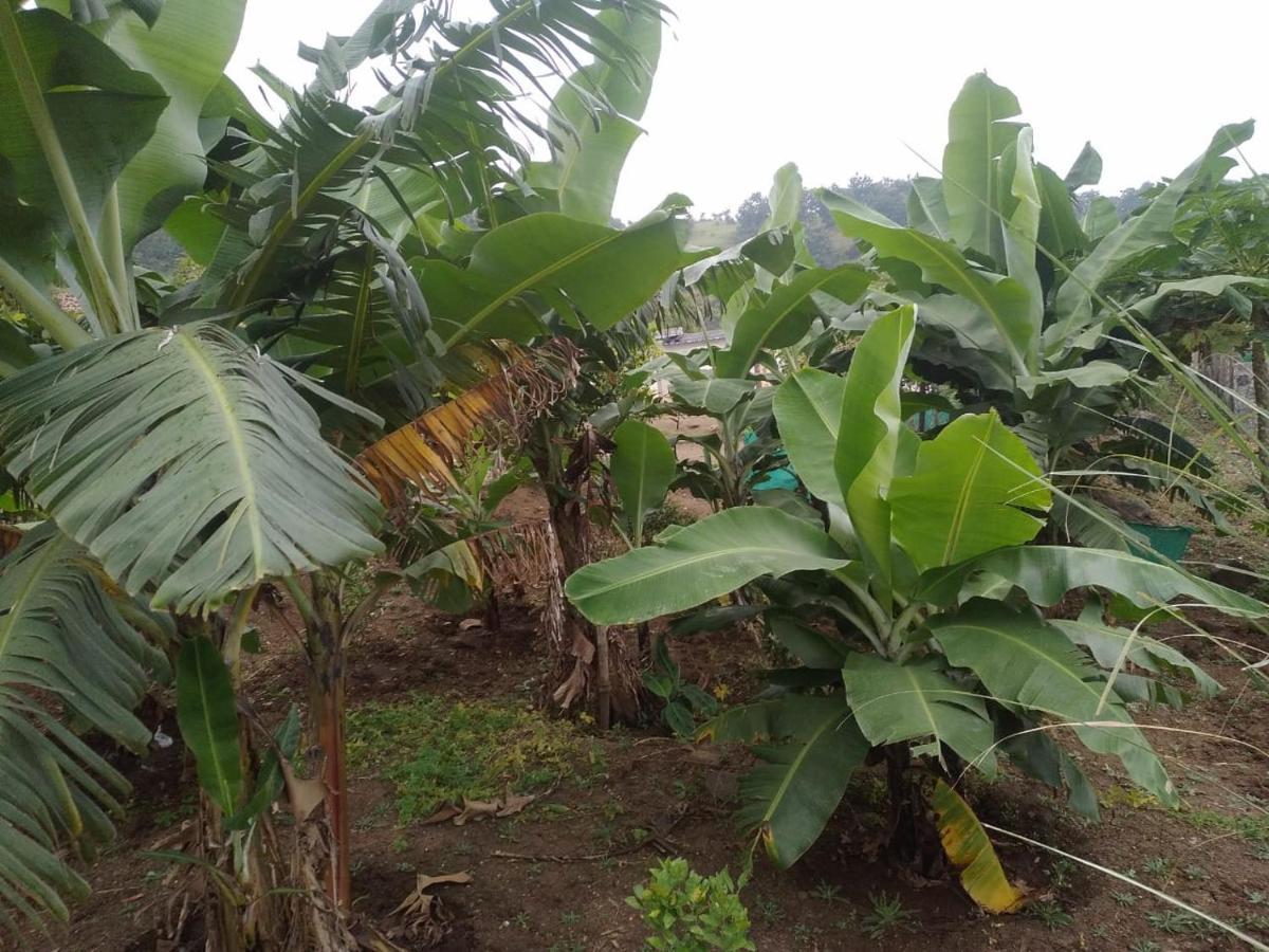 Jandyal Farm House Malsedzs Ghat Kültér fotó