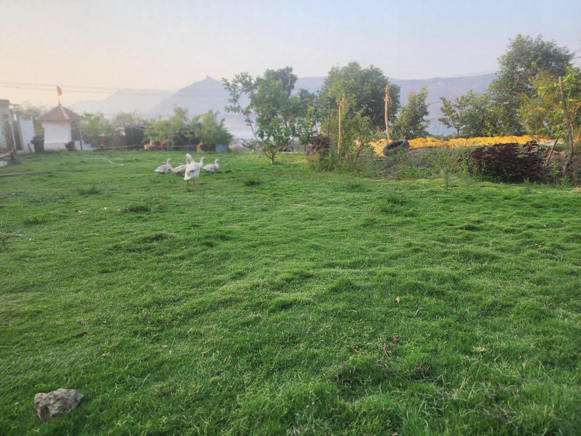 Jandyal Farm House Malsedzs Ghat Kültér fotó